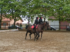 PO 2008 (44)